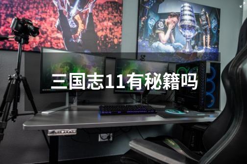 三国志11有秘籍吗-第1张-游戏信息-龙启网