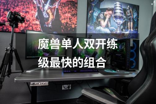 魔兽单人双开练级最快的组合-第1张-游戏信息-龙启网