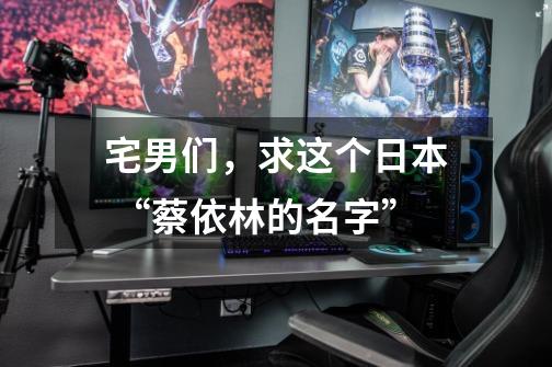 宅男们，求这个日本 “蔡依林的名字”-第1张-游戏信息-龙启网
