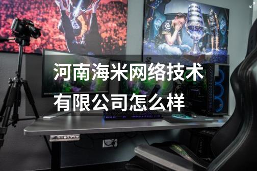 河南海米网络技术有限公司怎么样-第1张-游戏信息-龙启网