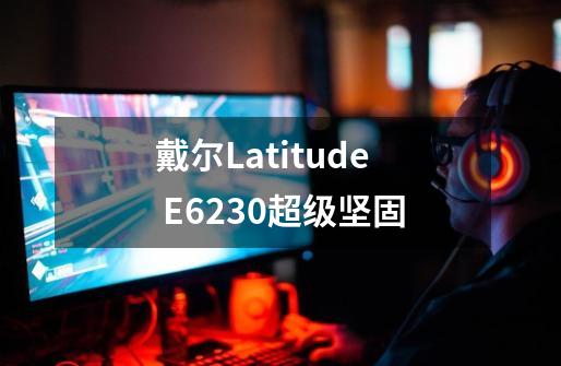 戴尔Latitude E6230超级坚固-第1张-游戏信息-龙启网