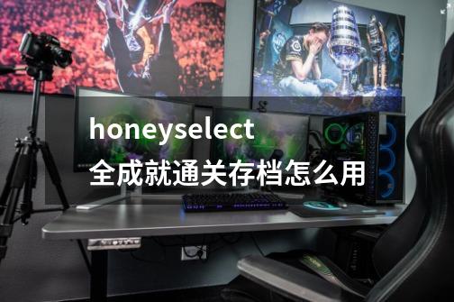 honeyselect全成就通关存档怎么用-第1张-游戏信息-龙启网