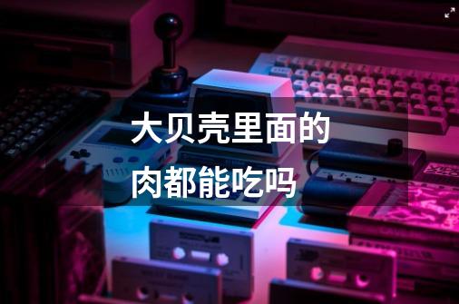 大贝壳里面的肉都能吃吗-第1张-游戏信息-龙启网