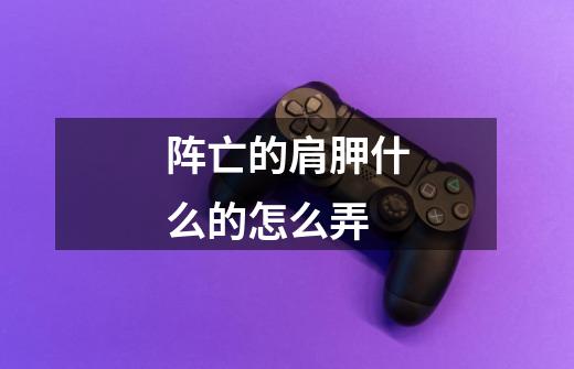 阵亡**的肩胛..什么的..怎么弄-第1张-游戏信息-龙启网