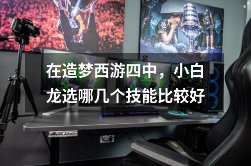 在造梦西游四中,小白龙选哪几个技能比较好-第1张-游戏信息-龙启网