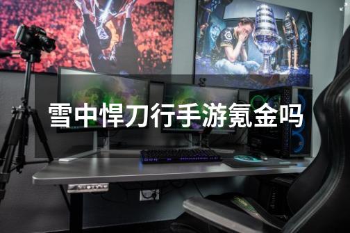 雪中悍刀行手游氪金吗-第1张-游戏信息-龙启网