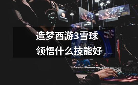 造梦西游3雪球领悟什么技能好-第1张-游戏信息-龙启网