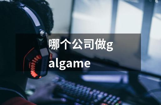 哪个公司做galgame-第1张-游戏信息-龙启网