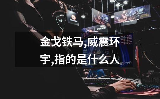 金戈铁马,威震环宇,指的是什么人-第1张-游戏信息-龙启网
