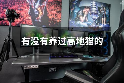 有没有养过高地猫的-第1张-游戏信息-龙启网