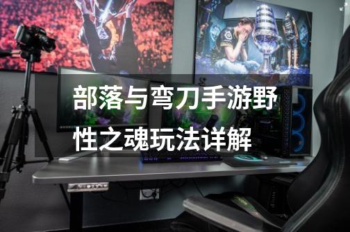部落与弯刀手游野性之魂玩法详解-第1张-游戏信息-龙启网