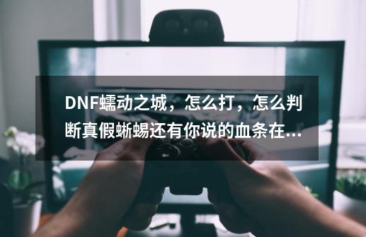 DNF蠕动之城,怎么打,怎么判断真假蜥蜴还有你说的血条在哪,说详细点。-第1张-游戏信息-龙启网