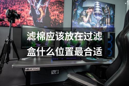 滤棉应该放在过滤盒什么位置最合适-第1张-游戏信息-龙启网