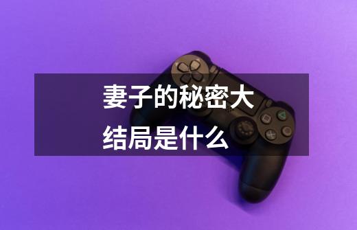 妻子的秘密大结局是什么-第1张-游戏信息-龙启网