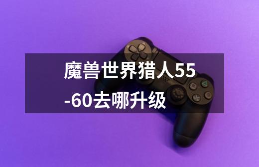 魔兽世界猎人55-60去哪升级-第1张-游戏信息-龙启网