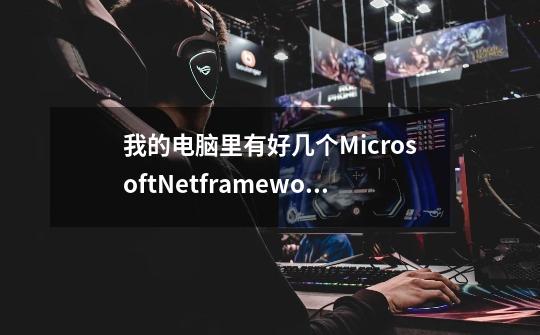 我的电脑里有好几个Microsoft.Netframework。。有2.0,3.0,3.5。。。都有用吗-第1张-游戏信息-龙启网