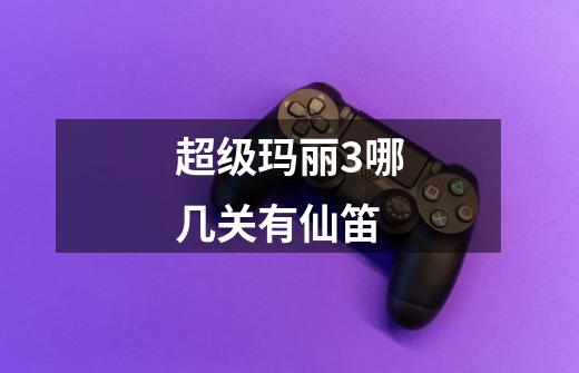超级玛丽3哪几关有仙笛-第1张-游戏信息-龙启网
