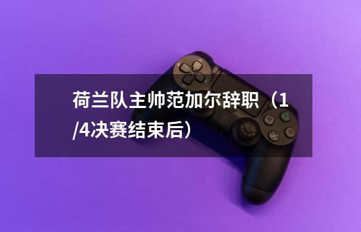 荷兰队主帅范加尔辞职(1/4决赛结束后)-第1张-游戏信息-龙启网