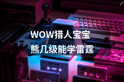 WOW猎人宝宝熊几级能学雷霆-第1张-游戏信息-龙启网
