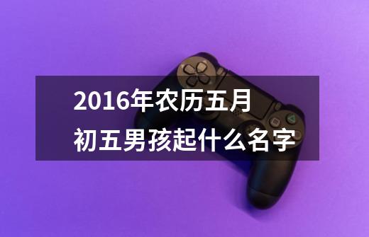 2016年农历五月初五男孩起什么名字-第1张-游戏信息-龙启网