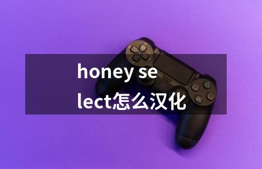 honey select怎么汉化-第1张-游戏信息-龙启网