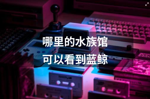哪里的水族馆可以看到蓝鲸-第1张-游戏信息-龙启网