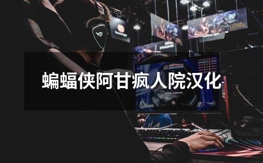 蝙蝠侠阿甘疯人院汉化-第1张-游戏信息-龙启网