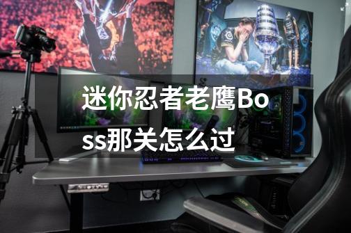 迷你忍者老鹰Boss那关怎么过-第1张-游戏信息-龙启网