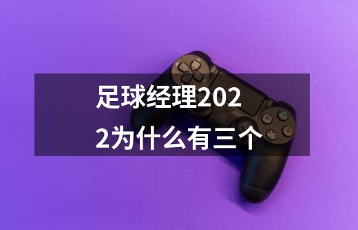 足球经理2022为什么有三个-第1张-游戏信息-龙启网