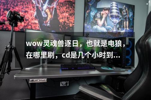 wow灵魂兽逐日,也就是电狼,在哪里刷,cd是几个小时到几个小时,一定自己抓过得来,cd不要查啊,都不准,-第1张-游戏信息-龙启网