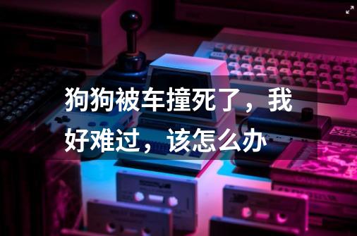 狗狗被车撞死了,我好难过,该怎么办-第1张-游戏信息-龙启网