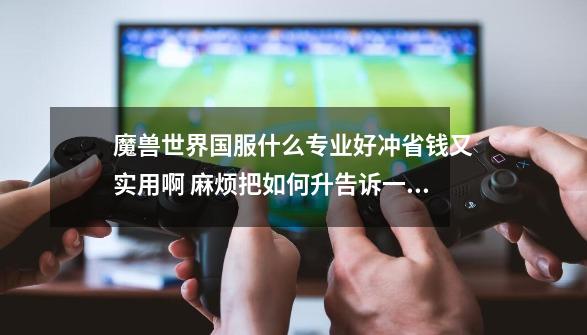 魔兽世界国服什么专业好冲省钱又实用啊 麻烦把如何升告诉一下谢谢了-第1张-游戏信息-龙启网