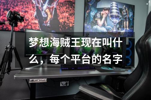梦想海贼王现在叫什么，每个平台的名字-第1张-游戏信息-龙启网