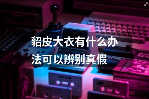 貂皮大衣有什么办法可以辨别真假-第1张-游戏信息-龙启网