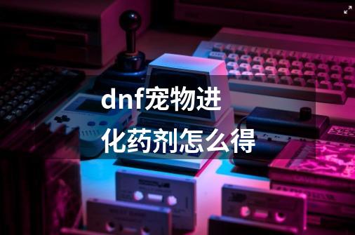 dnf宠物进化药剂怎么得-第1张-游戏信息-龙启网