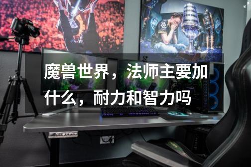 魔兽世界，法师主要加什么，耐力和智力吗-第1张-游戏信息-龙启网