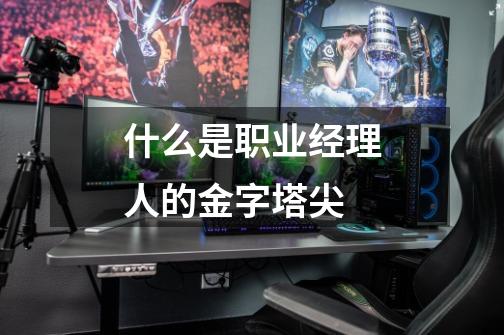 什么是职业经理人的金字塔尖-第1张-游戏信息-龙启网