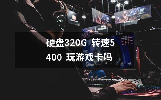 硬盘320G  转速5400  玩游戏卡吗-第1张-游戏信息-龙启网