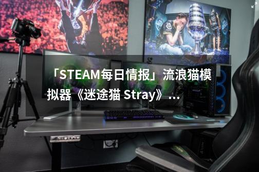 「STEAM每日情报」流浪猫模拟器《迷途猫 Stray》明年登陆Steam+索尼克与《双点医院》联动-第1张-游戏信息-龙启网