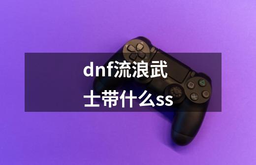 dnf流浪武士带什么ss-第1张-游戏信息-龙启网