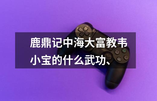 鹿鼎记中海大富教韦小宝的什么武功、-第1张-游戏信息-龙启网