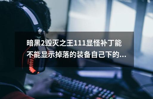 暗黑2毁灭之王111显怪补丁能不能显示掉落的装备自己下的总是弄不对-第1张-游戏信息-龙启网