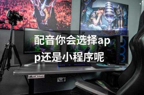 配音你会选择app还是小程序呢-第1张-游戏信息-龙启网