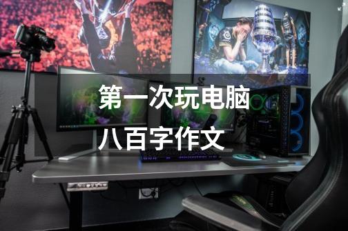 第一次玩电脑八百字作文-第1张-游戏信息-龙启网