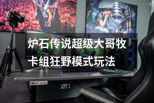 炉石传说超级大哥牧卡组狂野模式玩法-第1张-游戏信息-龙启网