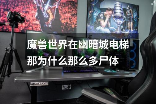 魔兽世界在幽暗城电梯那为什么那么多尸体-第1张-游戏信息-龙启网