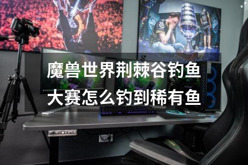 魔兽世界荆棘谷钓鱼大赛怎么钓到稀有鱼-第1张-游戏信息-龙启网