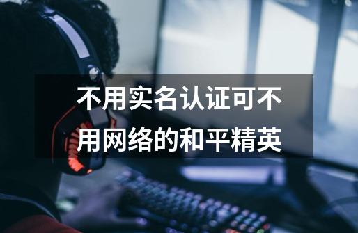 不用实名认证可不用网络的和平精英-第1张-游戏信息-龙启网