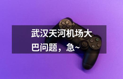 武汉天河机场大巴问题,急~-第1张-游戏信息-龙启网
