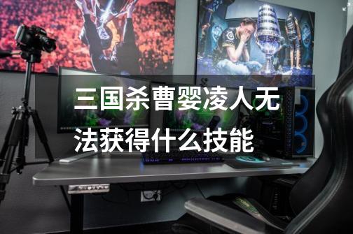 三国杀曹婴凌人无法获得什么技能-第1张-游戏信息-龙启网